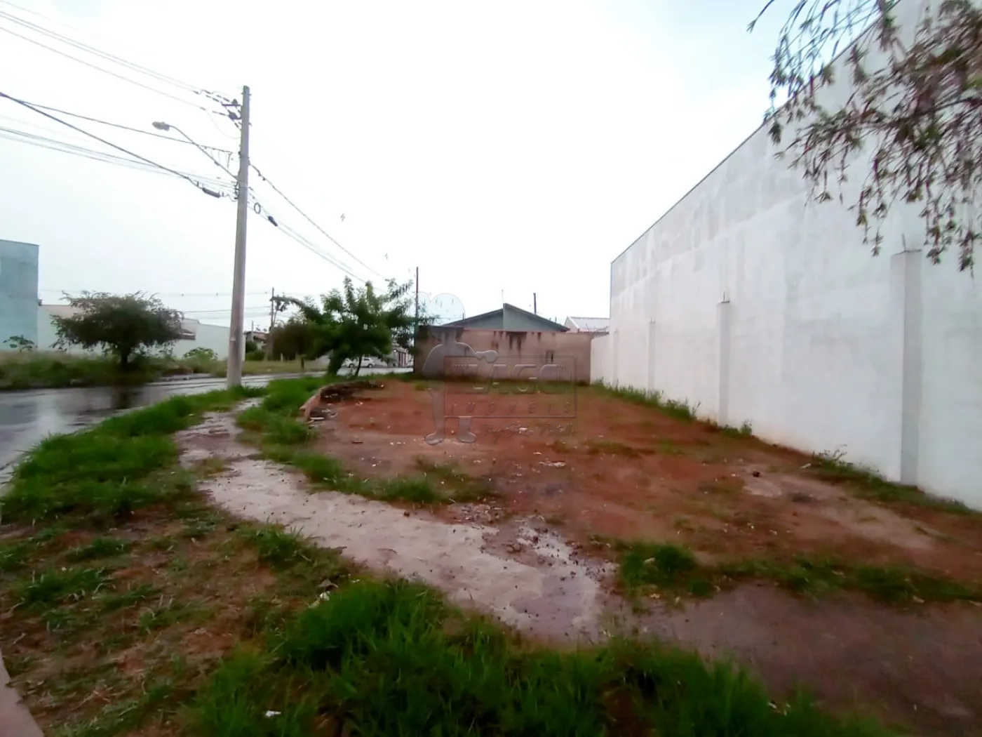 Alugar Terrenos / Padrão em Ribeirão Preto R$ 1.000,00 - Foto 4