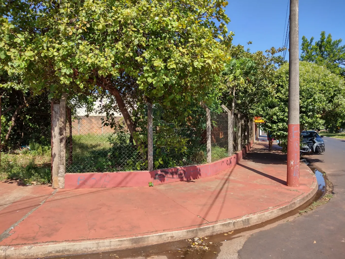 Comprar Terrenos / Padrão em Sertãozinho R$ 260.000,00 - Foto 1