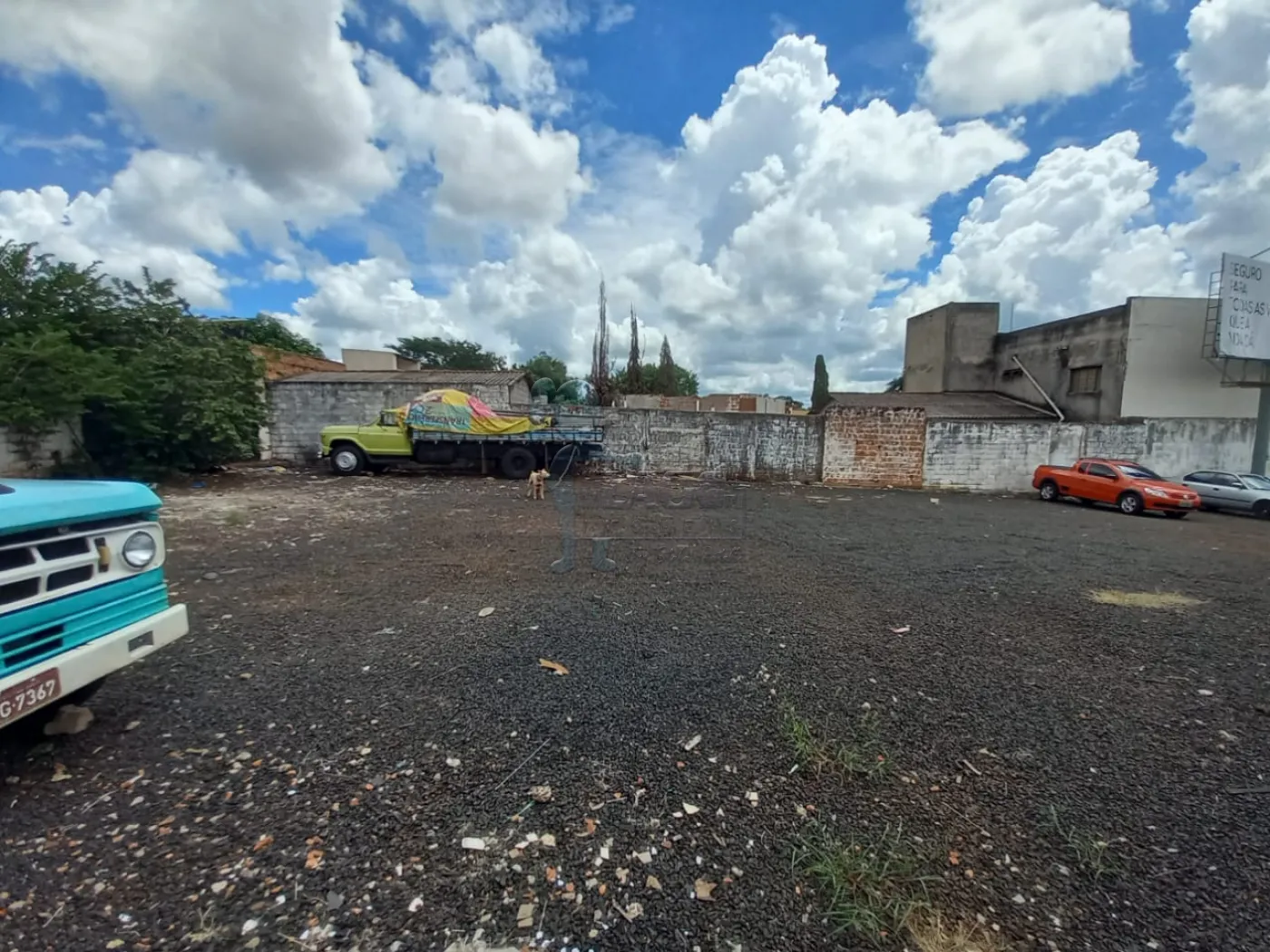 Alugar Terrenos / Padrão em Ribeirão Preto R$ 7.800,00 - Foto 5