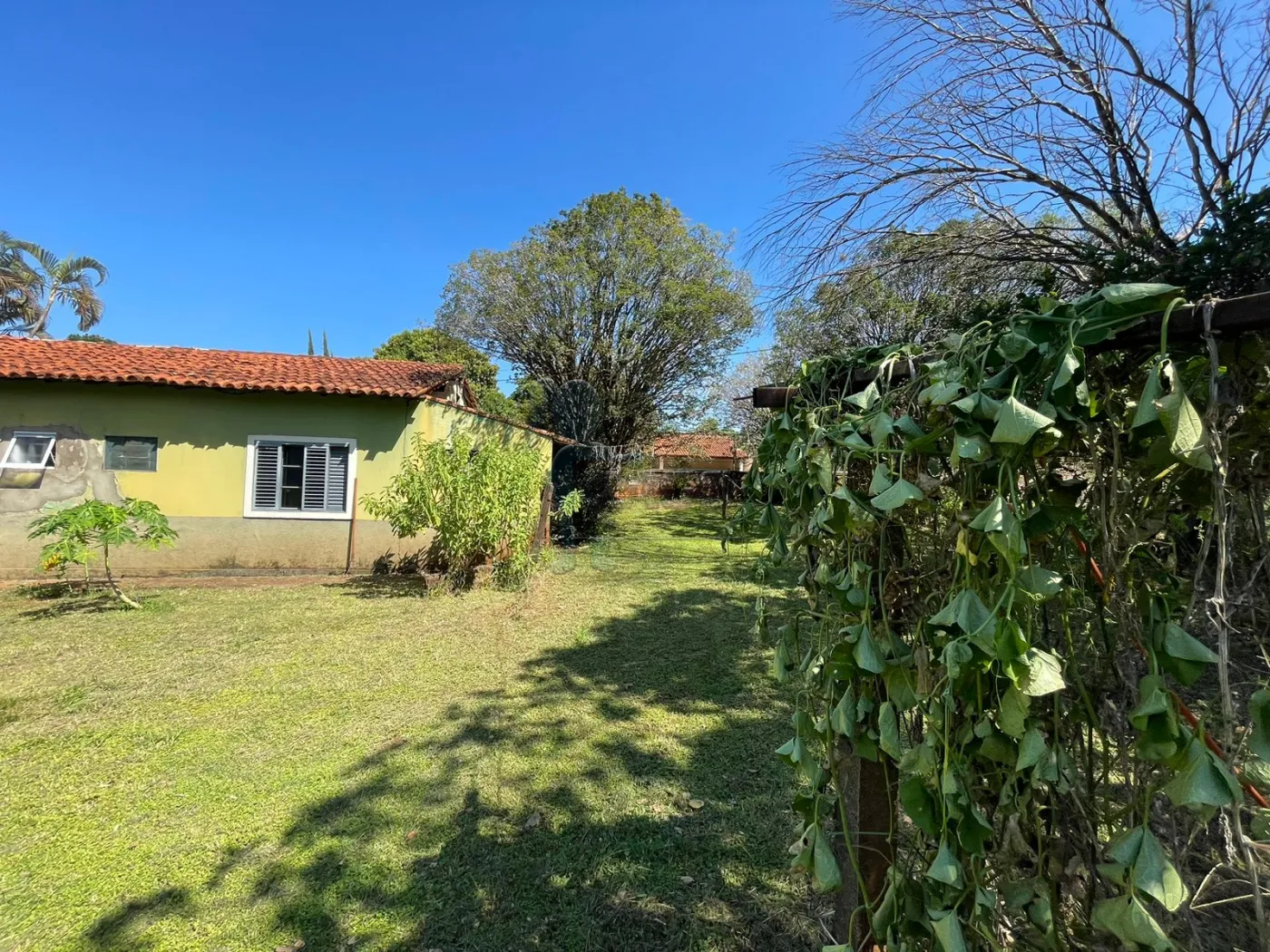 Comprar Casas / Condomínio em Ribeirão Preto R$ 1.950.000,00 - Foto 4