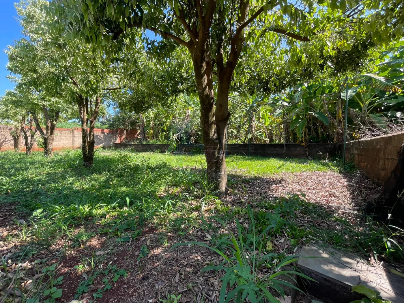 Comprar Casas / Condomínio em Ribeirão Preto R$ 1.950.000,00 - Foto 29