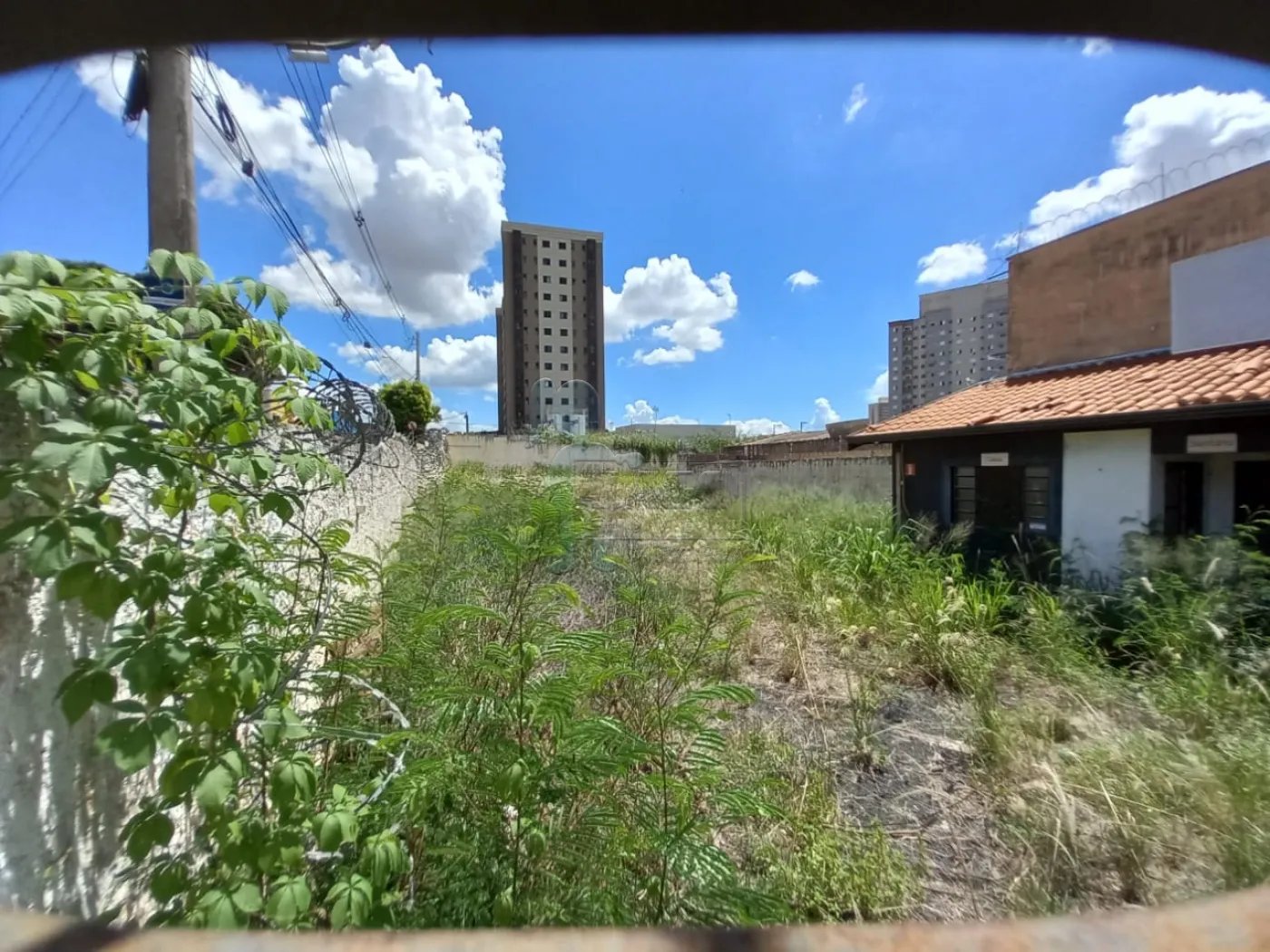 Alugar Terrenos / Padrão em Ribeirão Preto R$ 2.500,00 - Foto 1