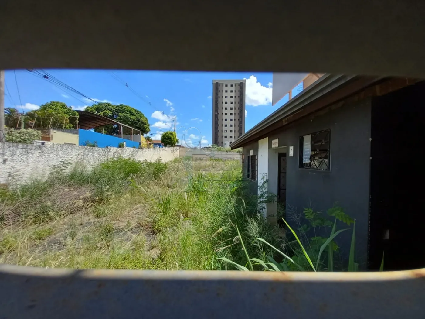 Alugar Terrenos / Padrão em Ribeirão Preto R$ 2.500,00 - Foto 2