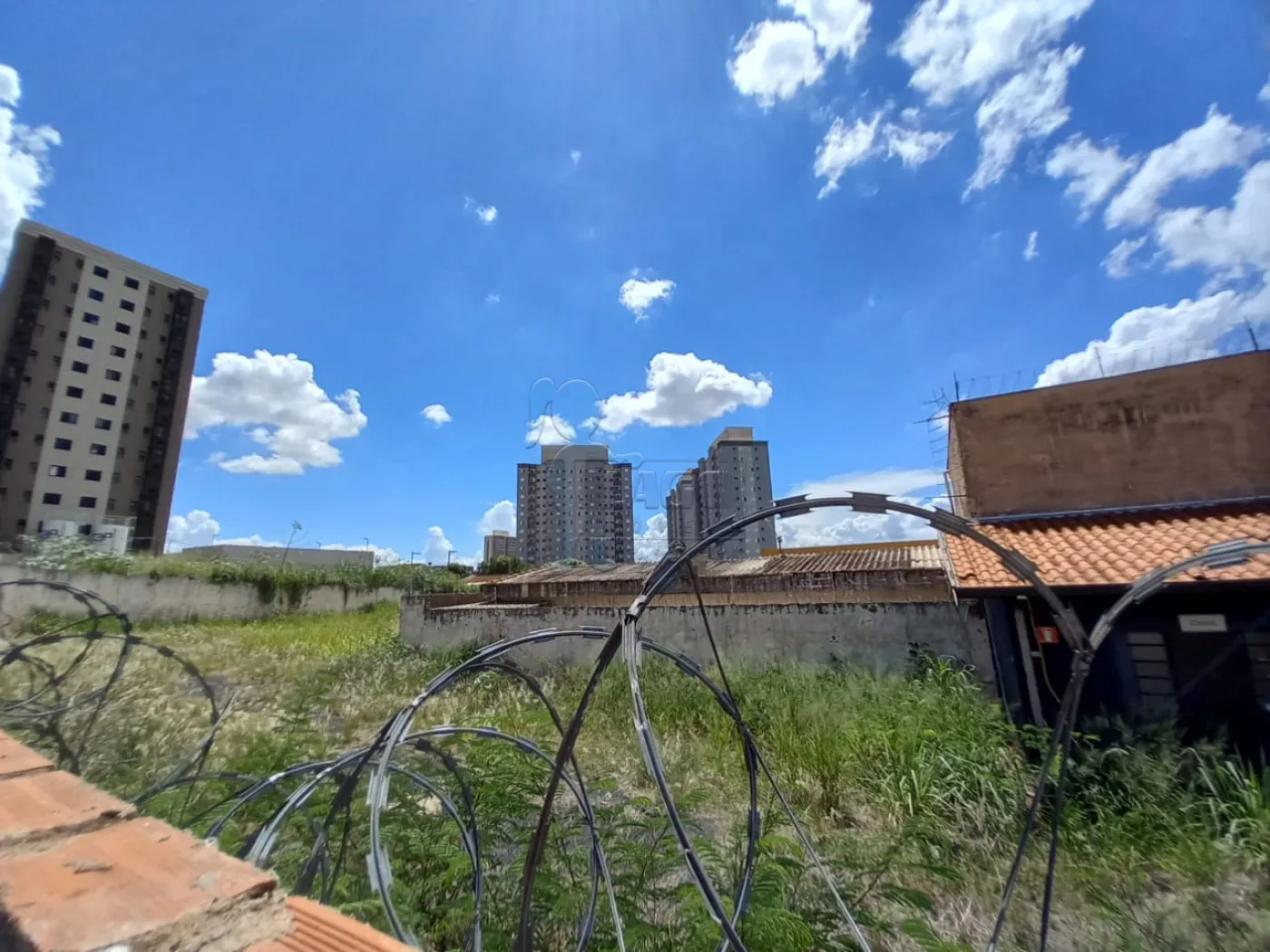 Alugar Terrenos / Padrão em Ribeirão Preto R$ 2.500,00 - Foto 3