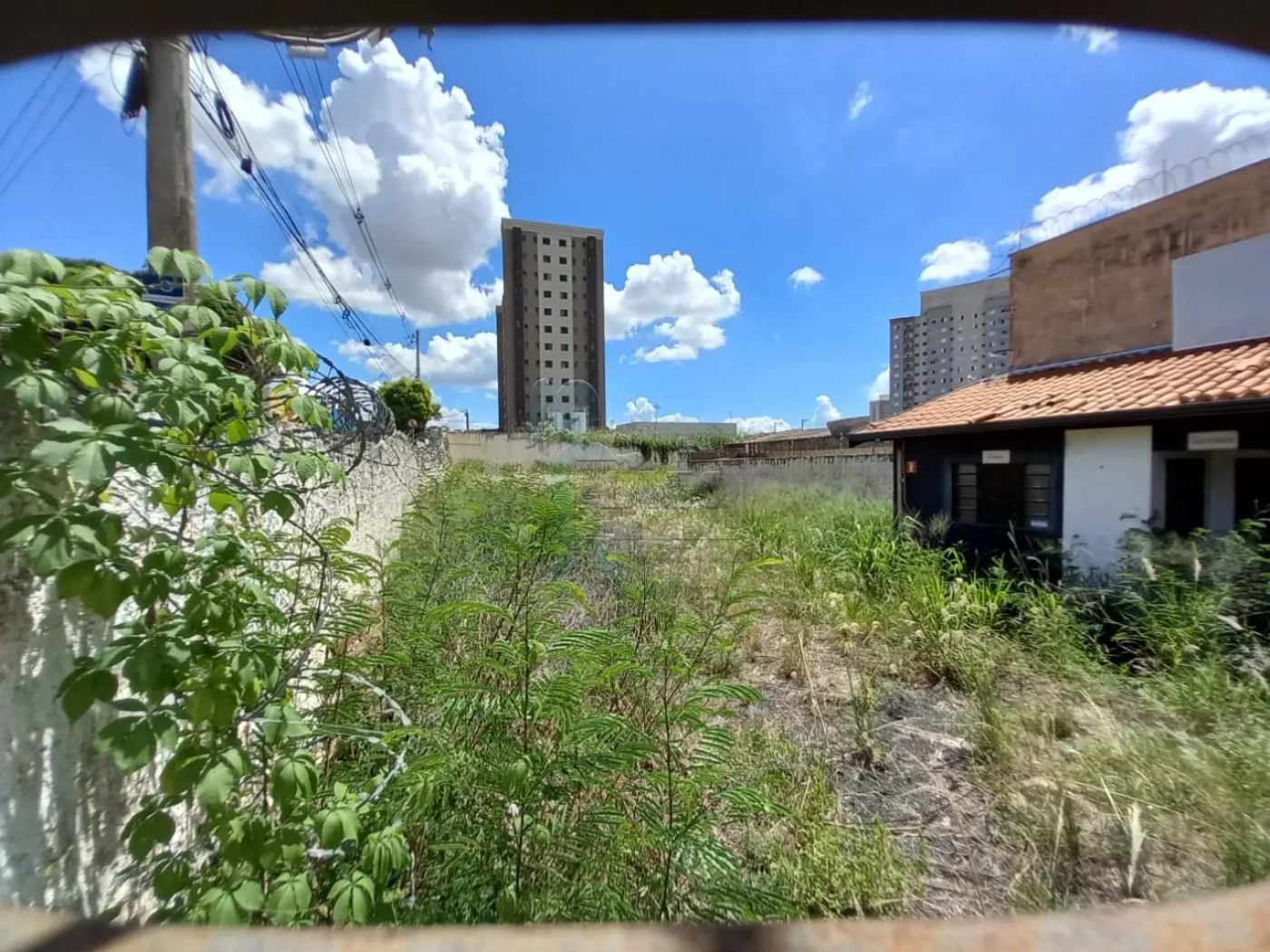 Alugar Terrenos / Padrão em Ribeirão Preto R$ 2.500,00 - Foto 4