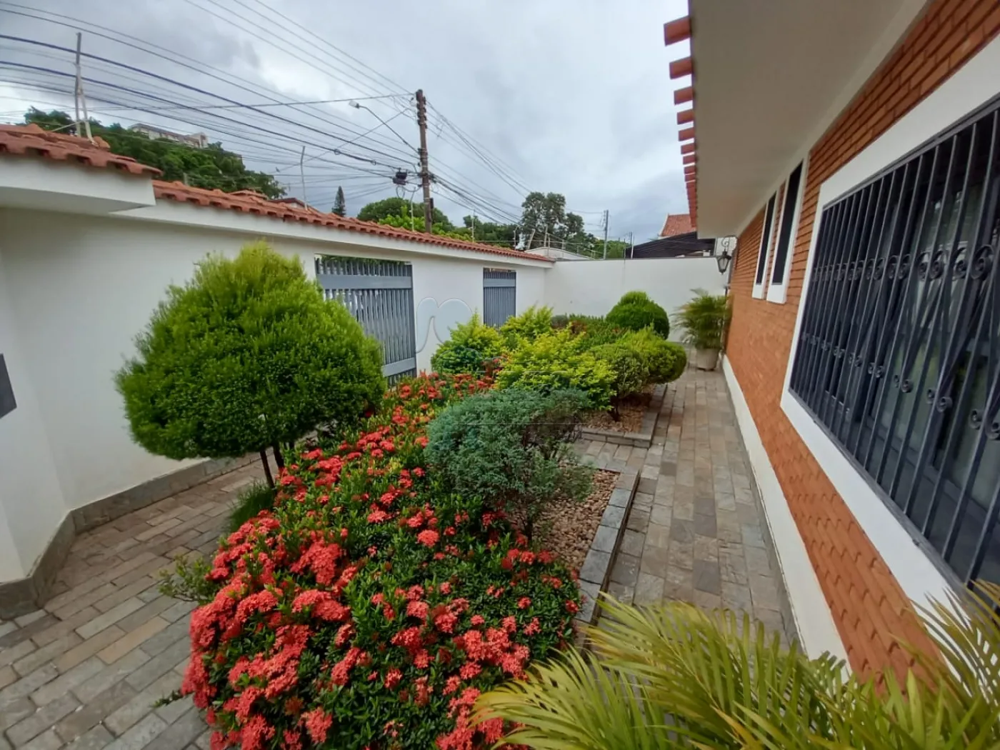 Alugar Casas / Padrão em Ribeirão Preto R$ 8.000,00 - Foto 2