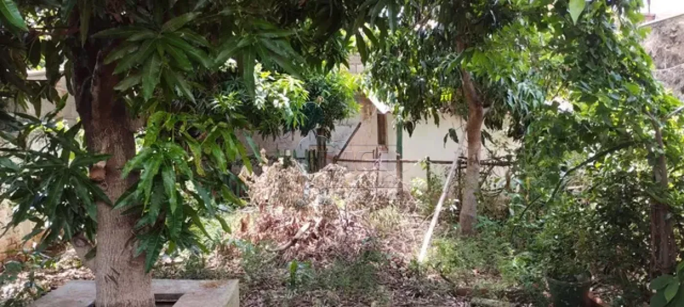 Comprar Casas / Padrão em Jardinópolis R$ 450.000,00 - Foto 10