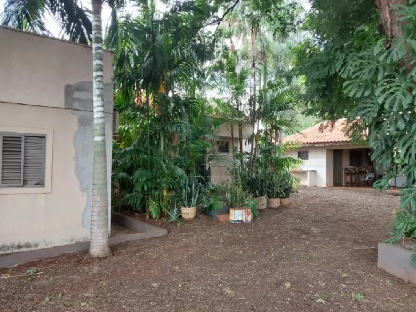 Comprar Casas / Chácara/Rancho em Ribeirão Preto R$ 1.400.000,00 - Foto 10