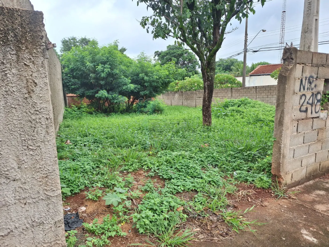 Comprar Terrenos / Padrão em Ribeirão Preto R$ 285.000,00 - Foto 1