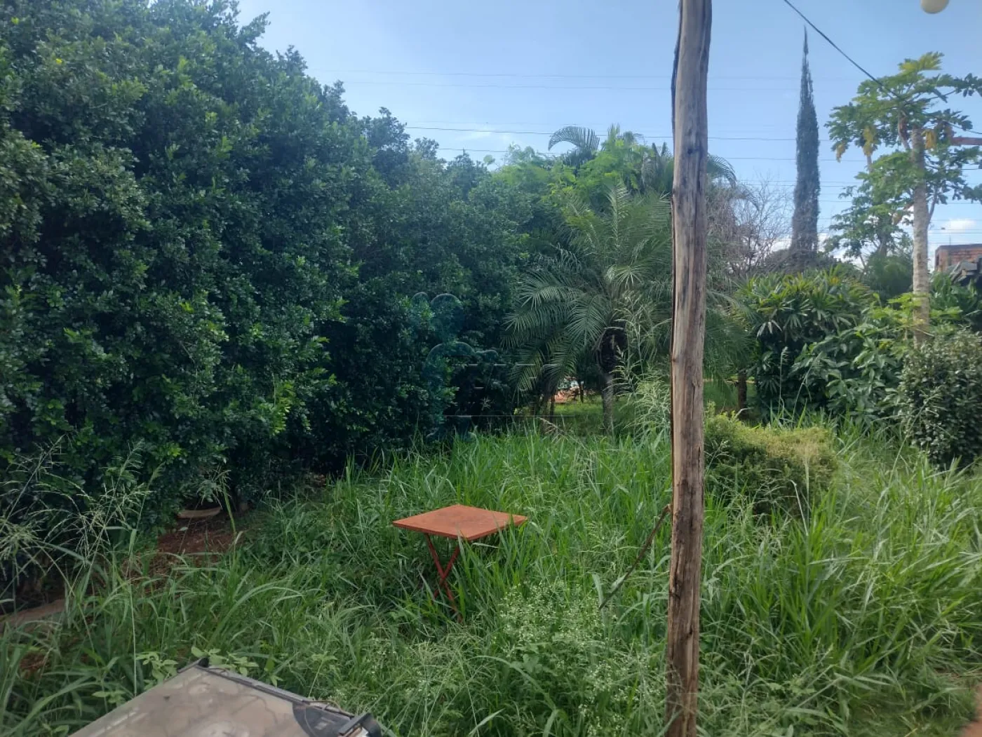 Comprar Casas / Chácara/Rancho em Ribeirão Preto R$ 1.500.000,00 - Foto 31