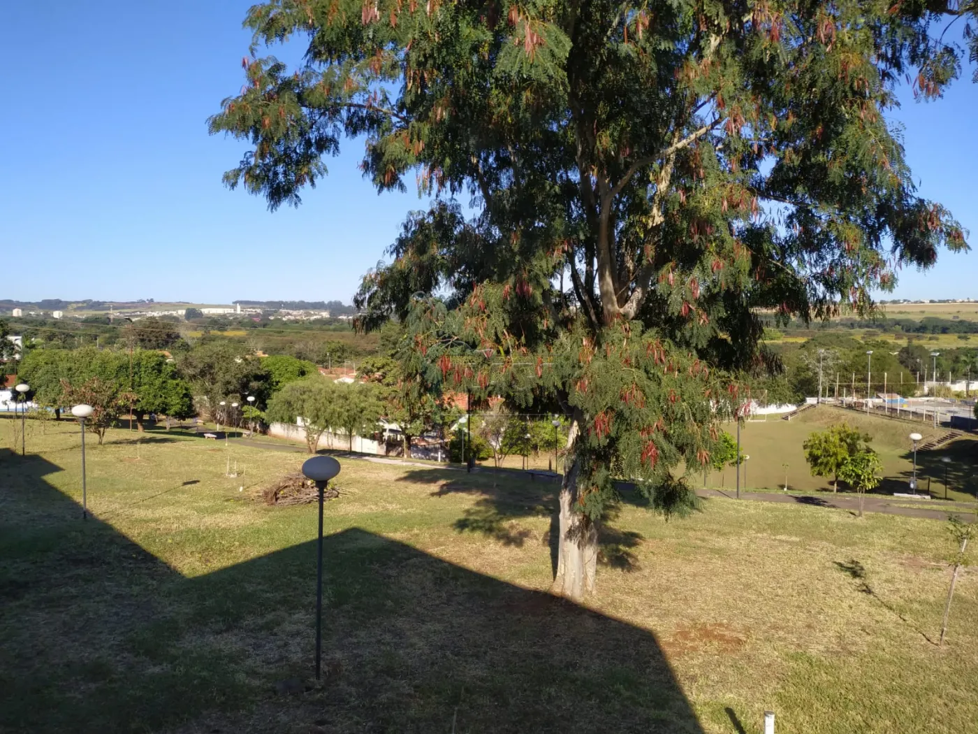 Comprar Casas / Padrão em Ribeirão Preto R$ 850.000,00 - Foto 5