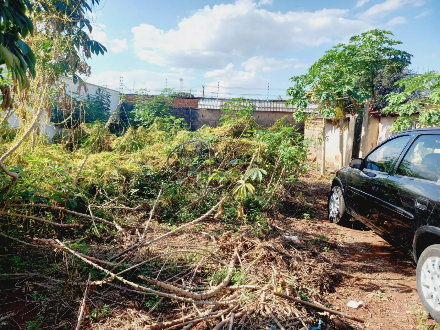 Alugar Terrenos / Padrão em Ribeirão Preto R$ 800,00 - Foto 1