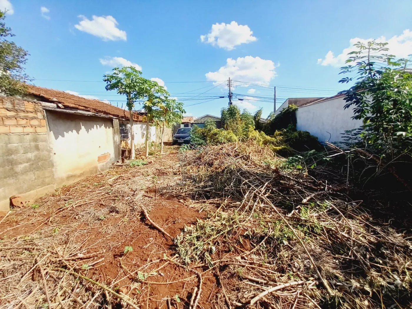 Alugar Terrenos / Padrão em Ribeirão Preto R$ 800,00 - Foto 2