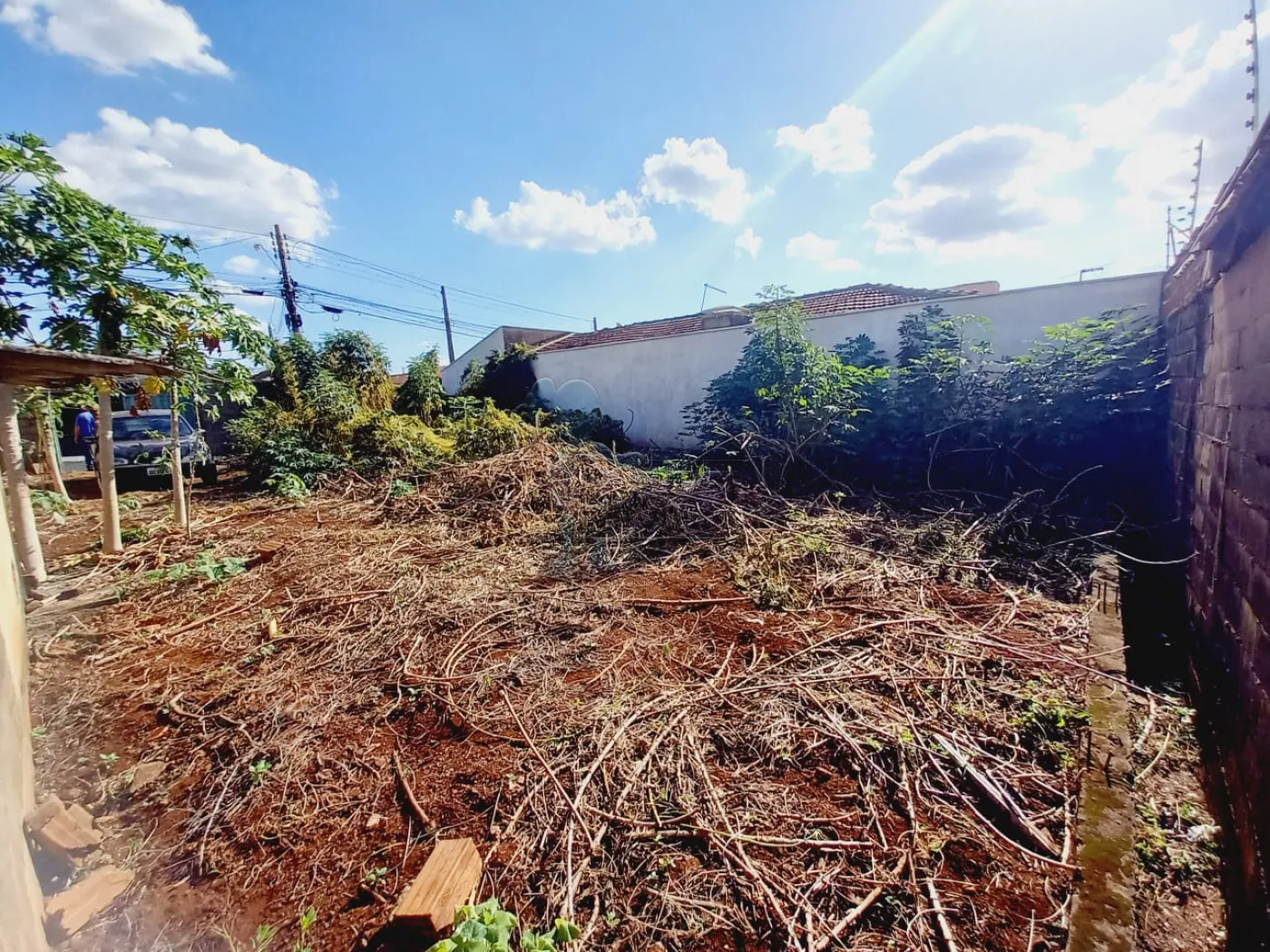 Alugar Terrenos / Padrão em Ribeirão Preto R$ 800,00 - Foto 3