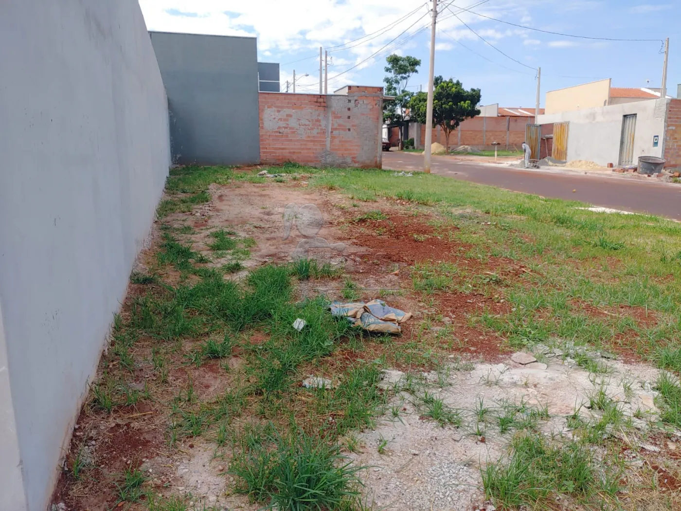 Comprar Casas / Padrão em Sertãozinho R$ 125.000,00 - Foto 12