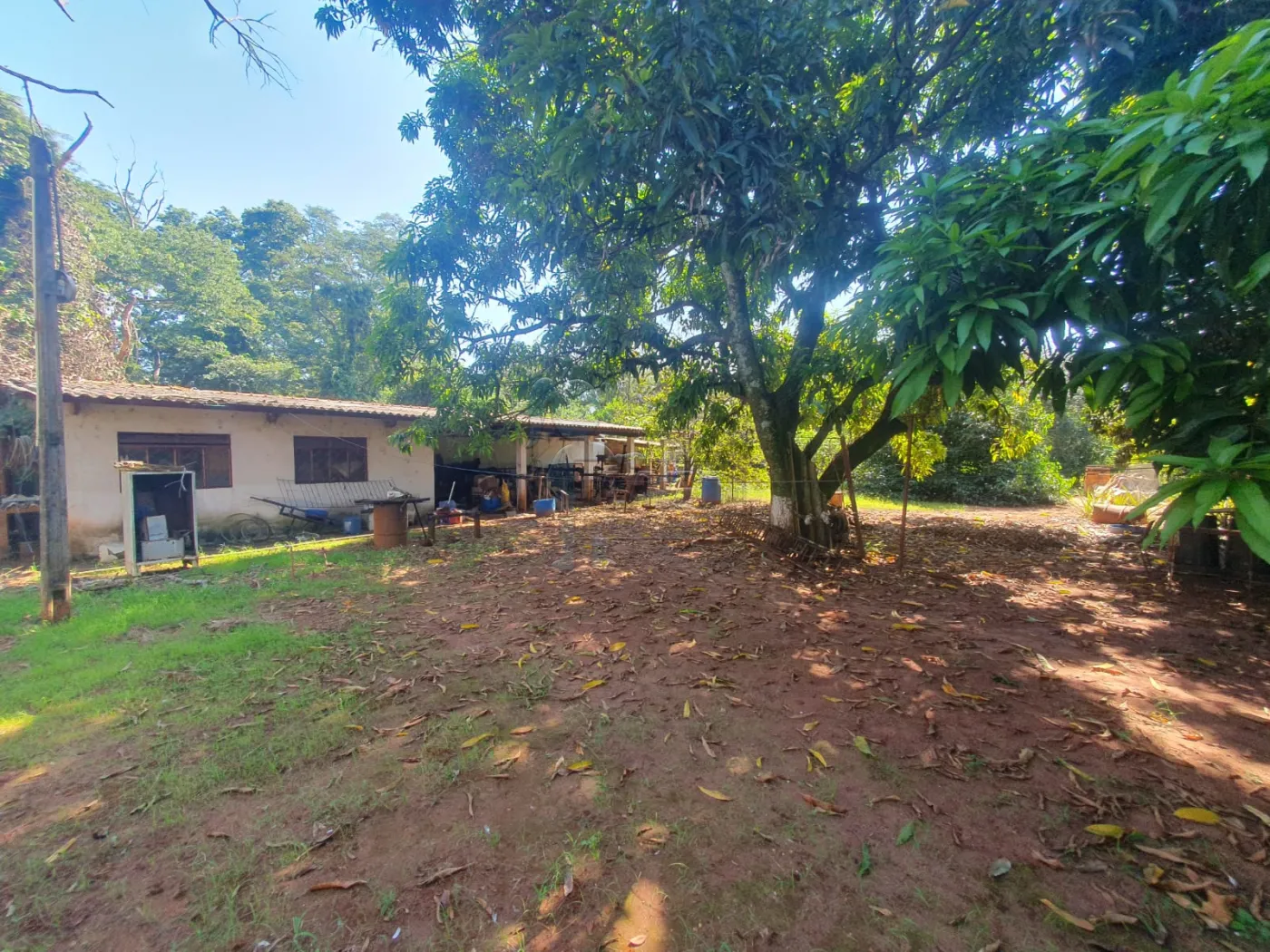 Comprar Casas / Chácara/Rancho em Ribeirão Preto R$ 500.000,00 - Foto 3