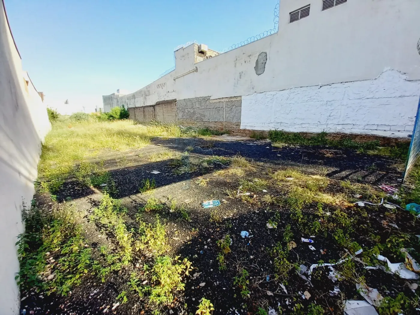 Comprar Terrenos / Padrão em Ribeirão Preto R$ 530.000,00 - Foto 4