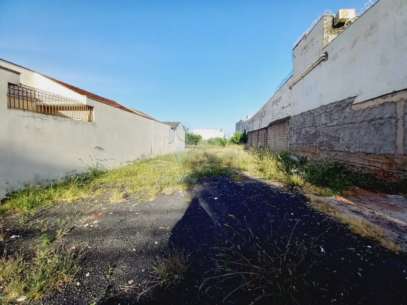 Comprar Terrenos / Padrão em Ribeirão Preto R$ 530.000,00 - Foto 2