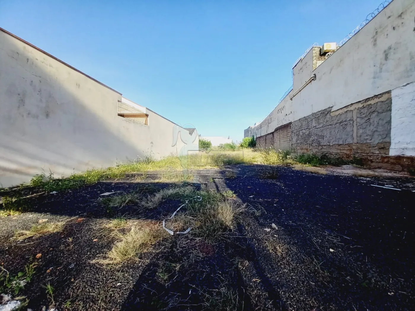 Comprar Terrenos / Padrão em Ribeirão Preto R$ 530.000,00 - Foto 1