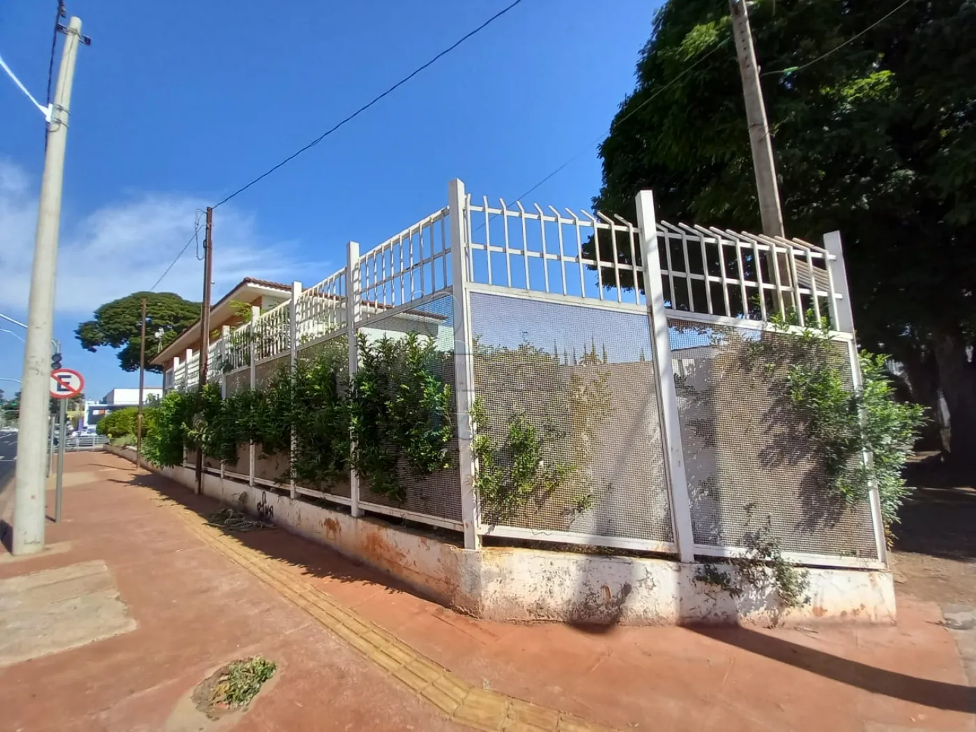 Alugar Comercial / Casa Comercial em Ribeirão Preto R$ 40.000,00 - Foto 8