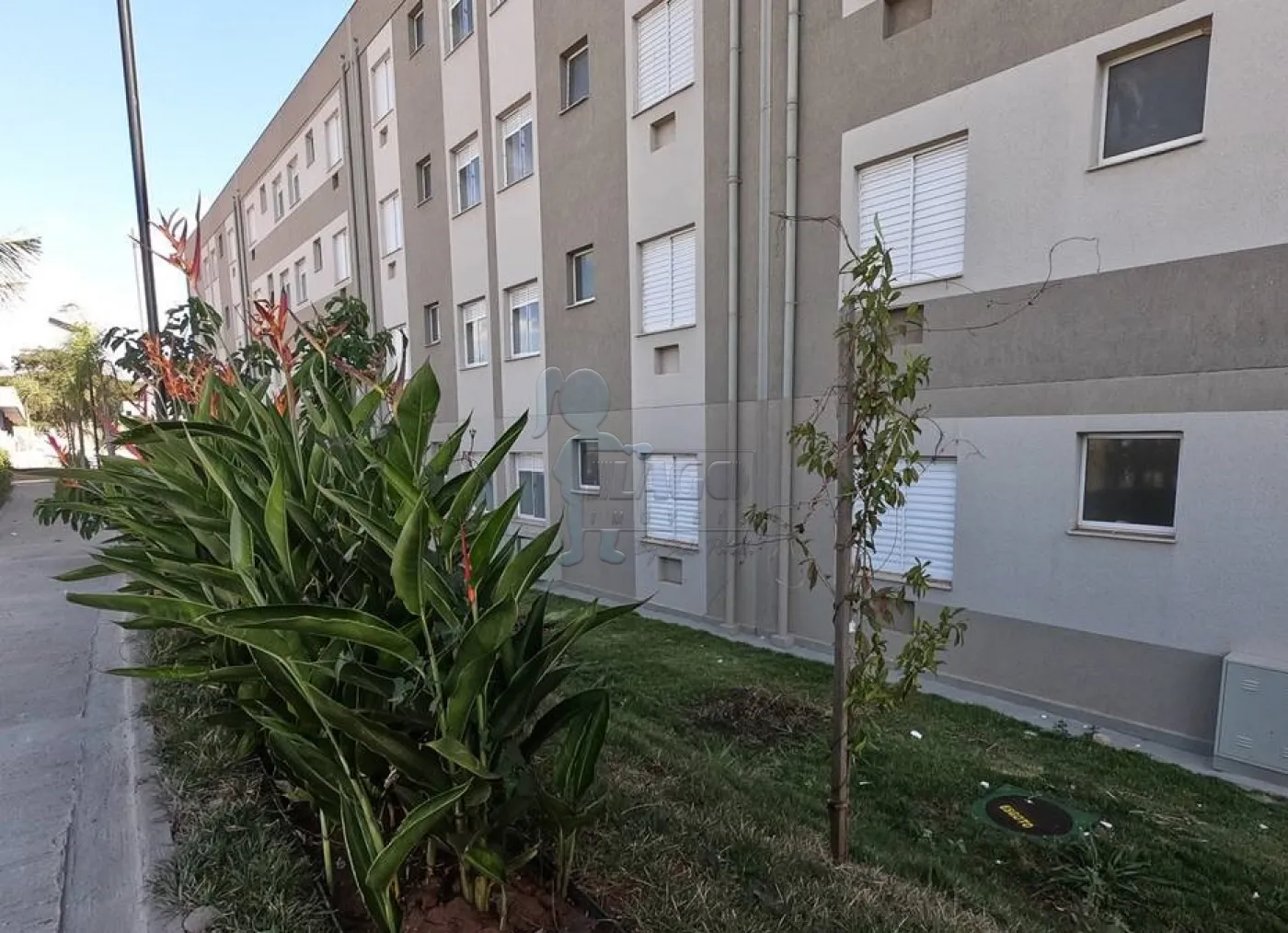 Comprar Apartamentos / Padrão em Ribeirão Preto R$ 130.000,00 - Foto 11