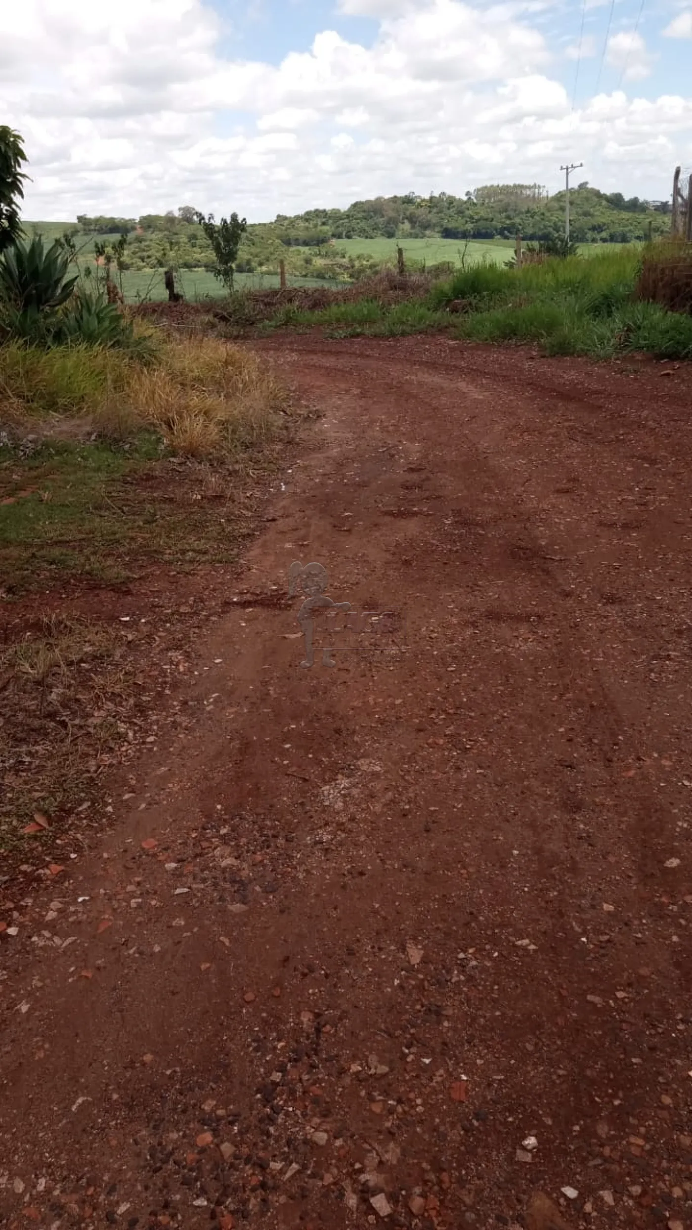 Comprar Rurais / Fazenda/Sítio em Dumont R$ 250.000,00 - Foto 1