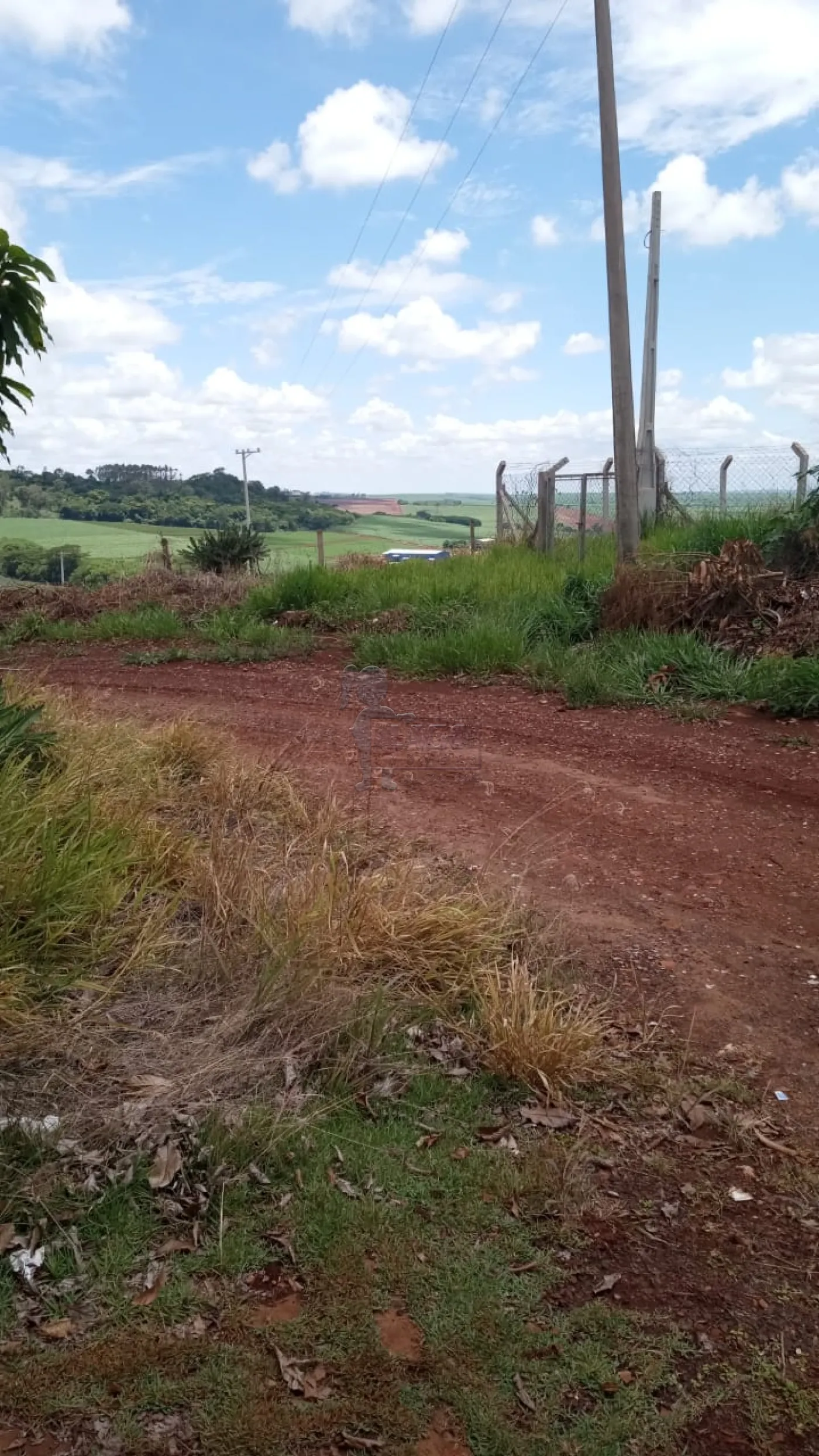 Comprar Rurais / Fazenda/Sítio em Dumont R$ 250.000,00 - Foto 2