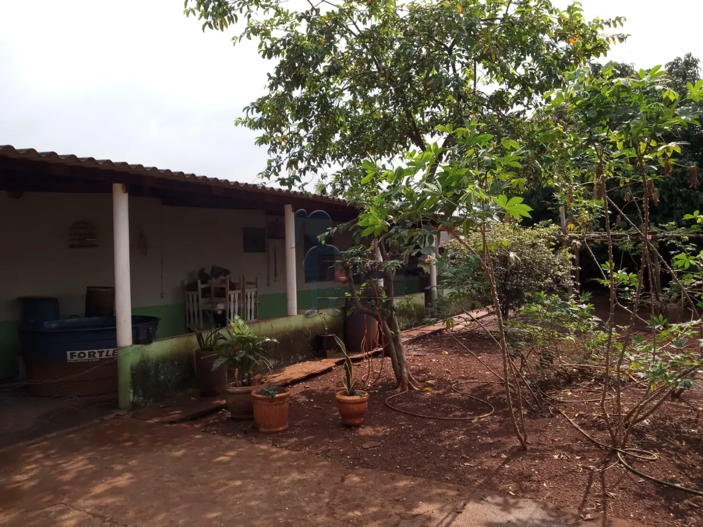 Comprar Rurais / Fazenda/Sítio em Dumont R$ 250.000,00 - Foto 4