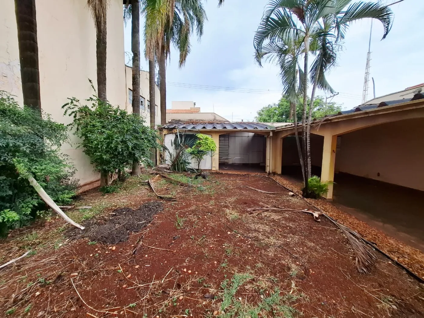 Alugar Casa / Padrão em Ribeirão Preto R$ 11.000,00 - Foto 4
