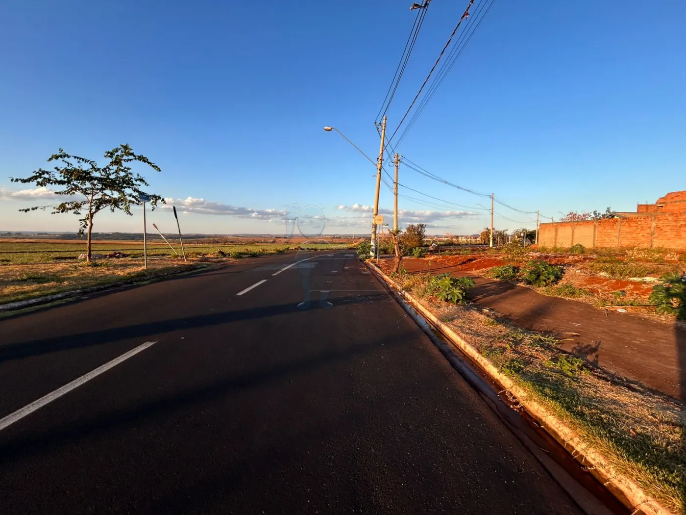 Comprar Terreno / Padrão em Ribeirão Preto R$ 112.000,00 - Foto 4