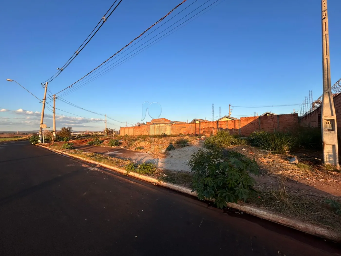 Comprar Terreno / Padrão em Ribeirão Preto R$ 112.000,00 - Foto 2