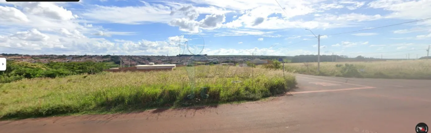 Comprar Terreno / Padrão em Cravinhos R$ 140.000,00 - Foto 1