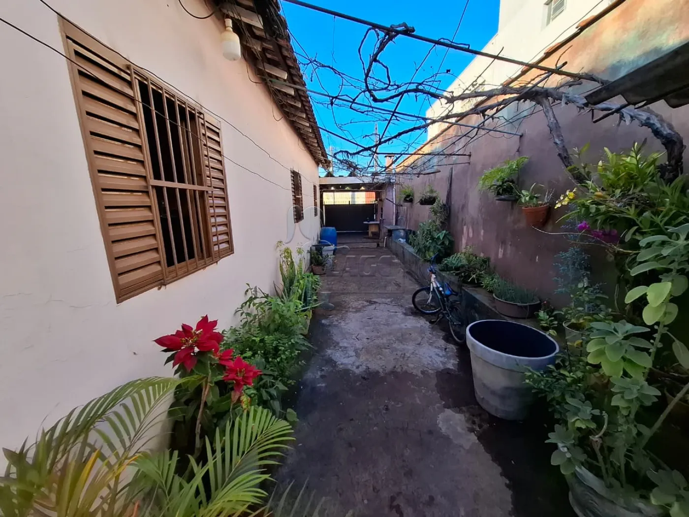 Comprar Casa / Padrão em Ribeirão Preto R$ 350.000,00 - Foto 11