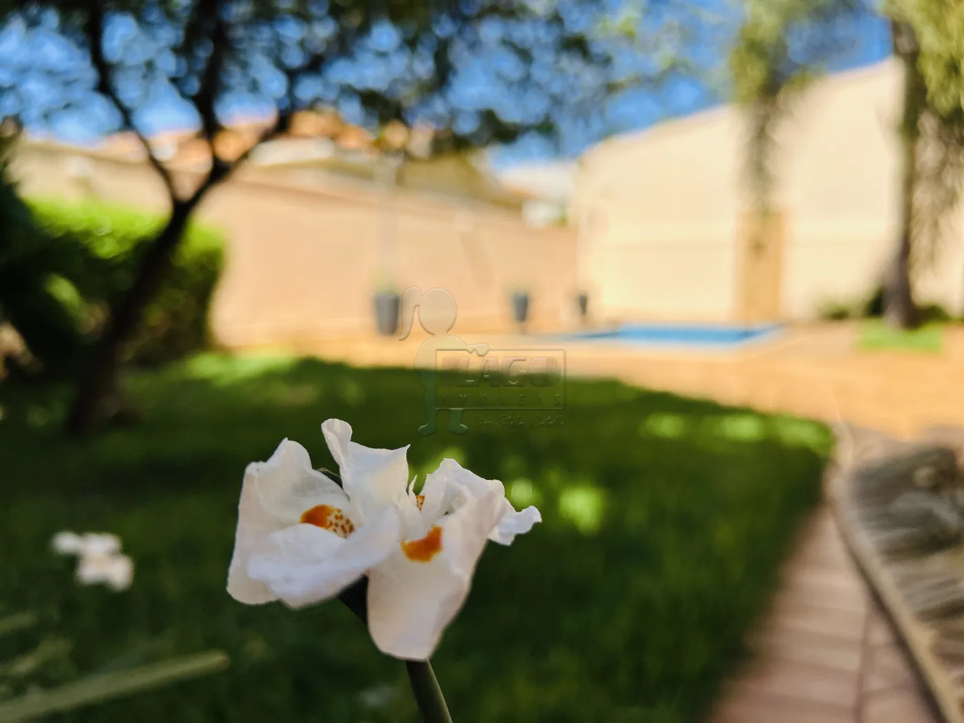 Alugar Casa condomínio / Sobrado em Bonfim Paulista R$ 7.990,00 - Foto 8