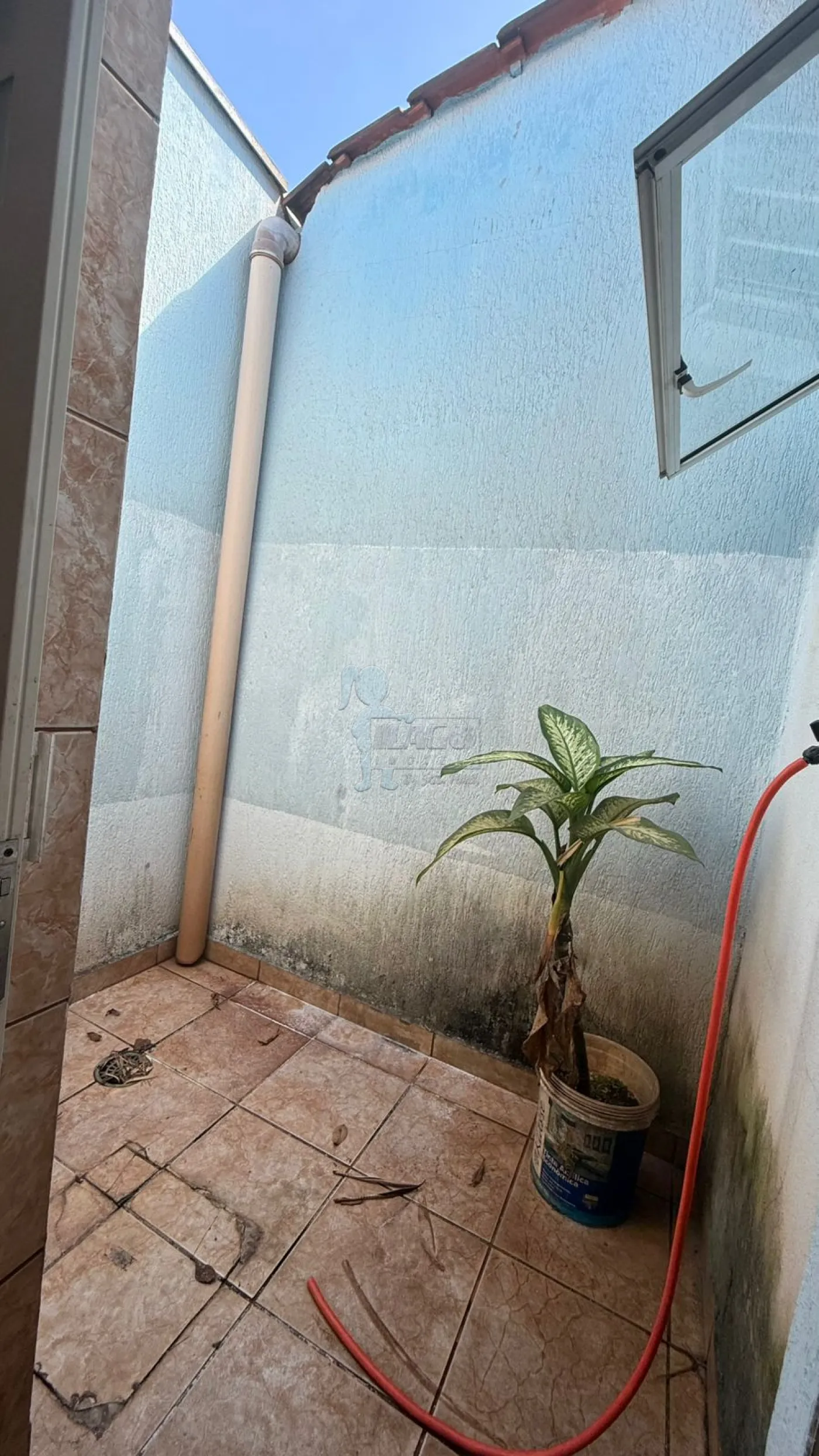 Comprar Casa / Padrão em Ribeirão Preto R$ 500.000,00 - Foto 12