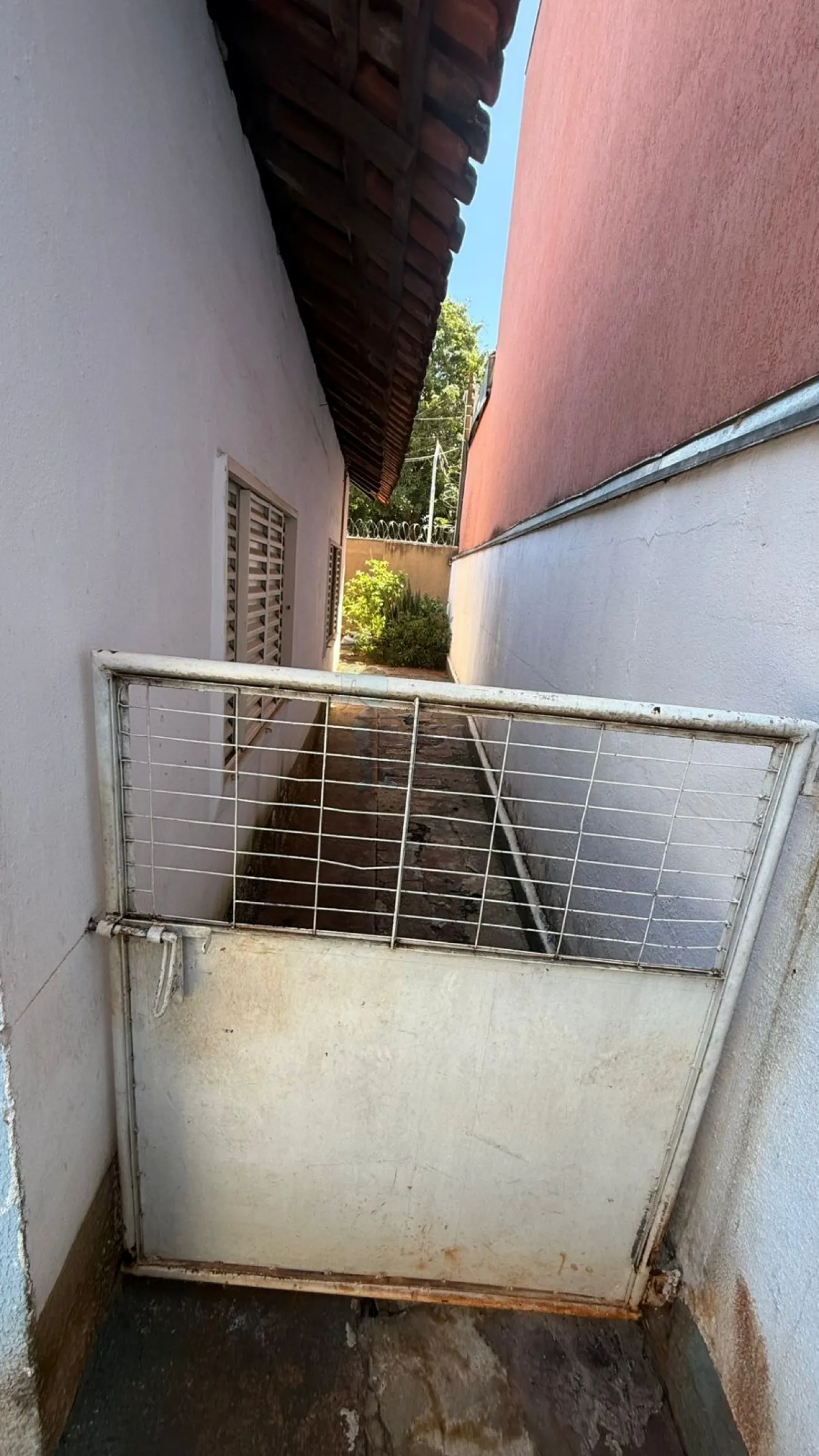 Comprar Casa / Padrão em Ribeirão Preto R$ 500.000,00 - Foto 13