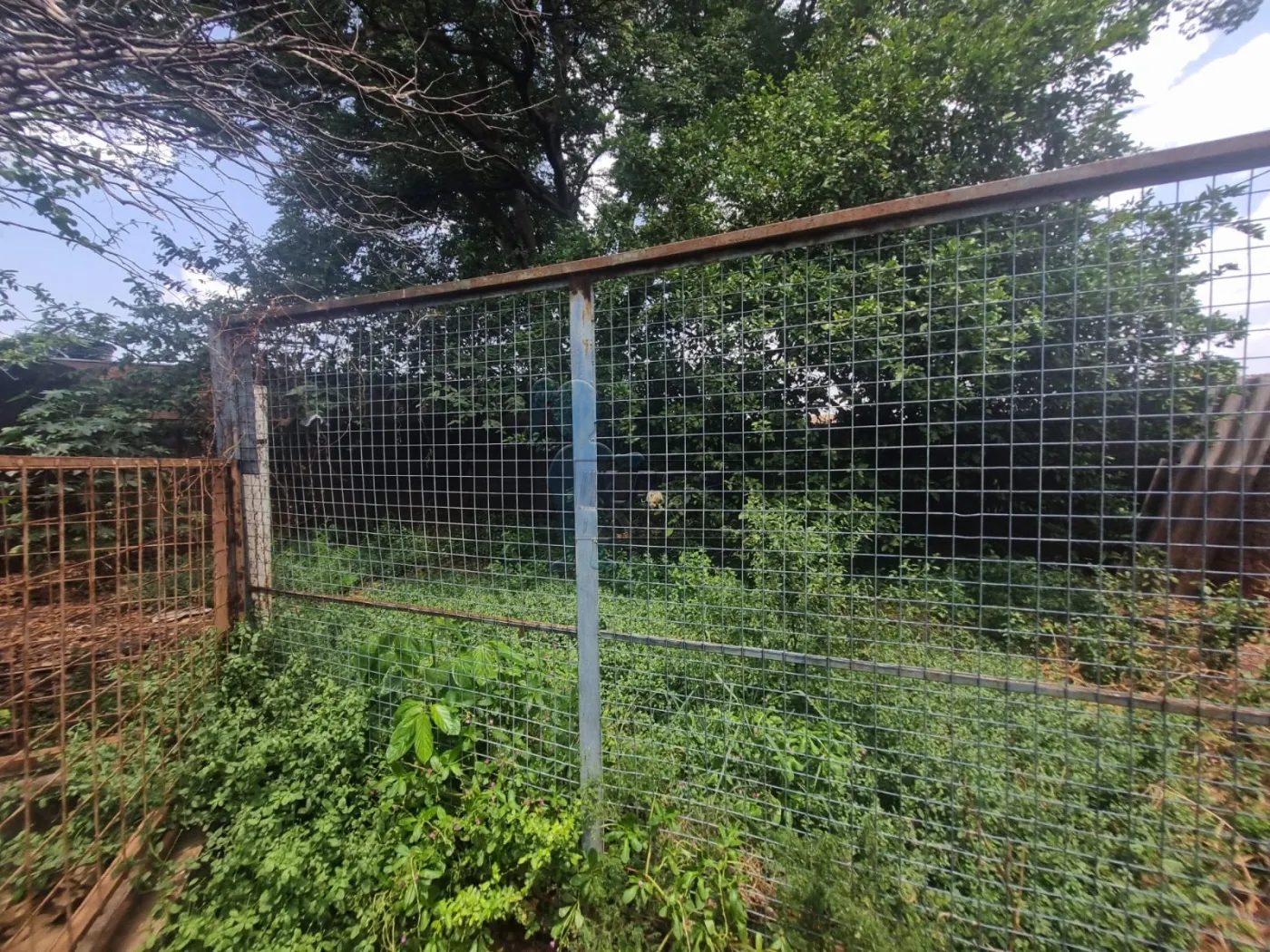 Alugar Casa / Padrão em Ribeirão Preto R$ 2.300,00 - Foto 15