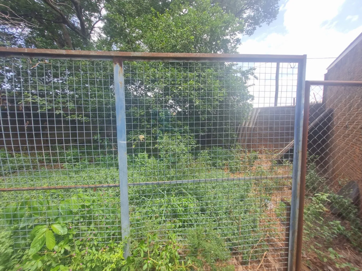 Alugar Casa / Padrão em Ribeirão Preto R$ 2.300,00 - Foto 14