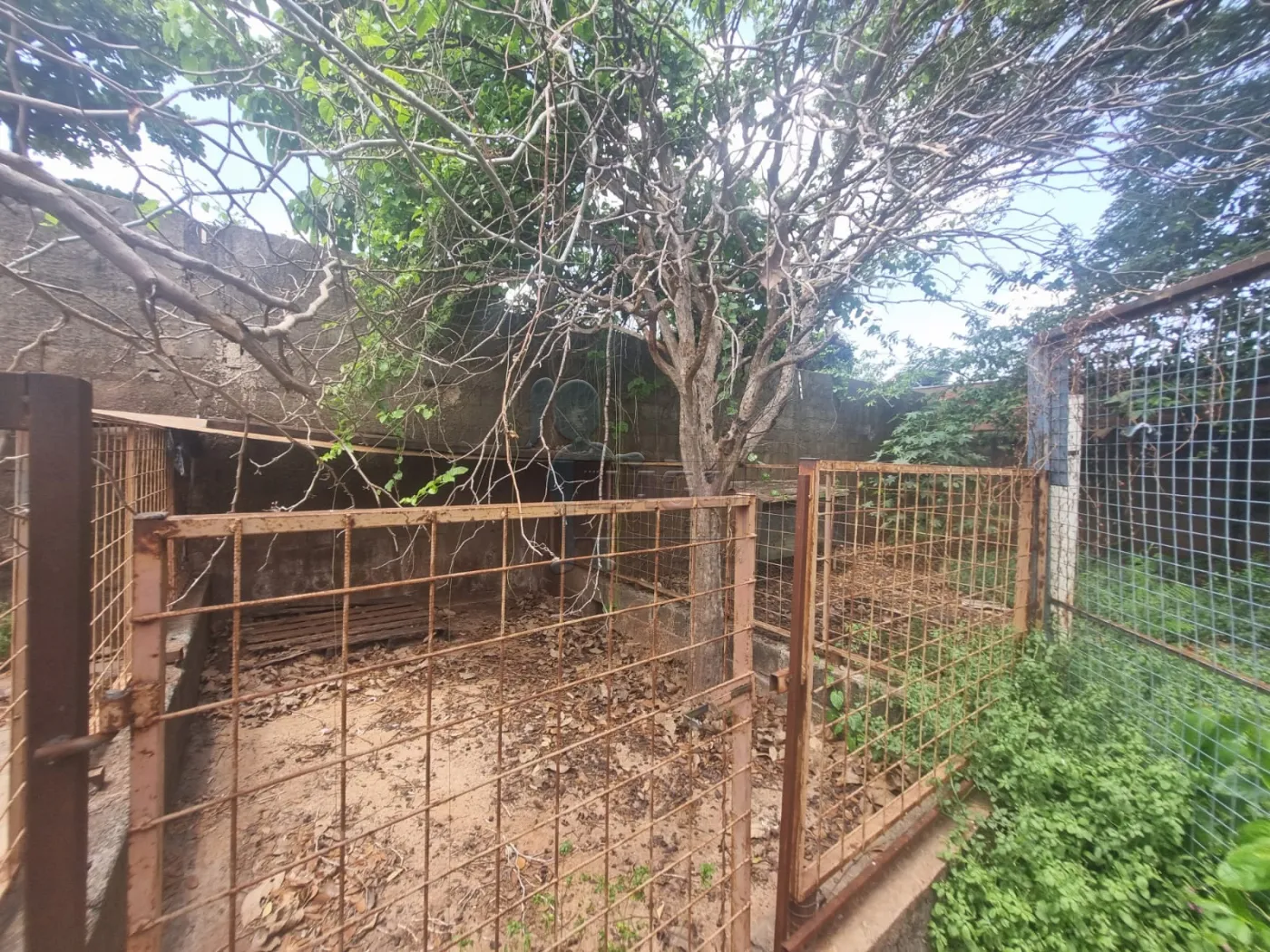 Alugar Casa / Padrão em Ribeirão Preto R$ 2.300,00 - Foto 13