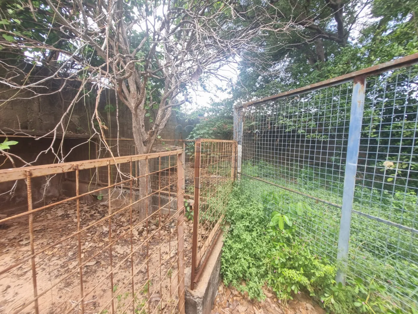 Alugar Casa / Padrão em Ribeirão Preto R$ 2.300,00 - Foto 12