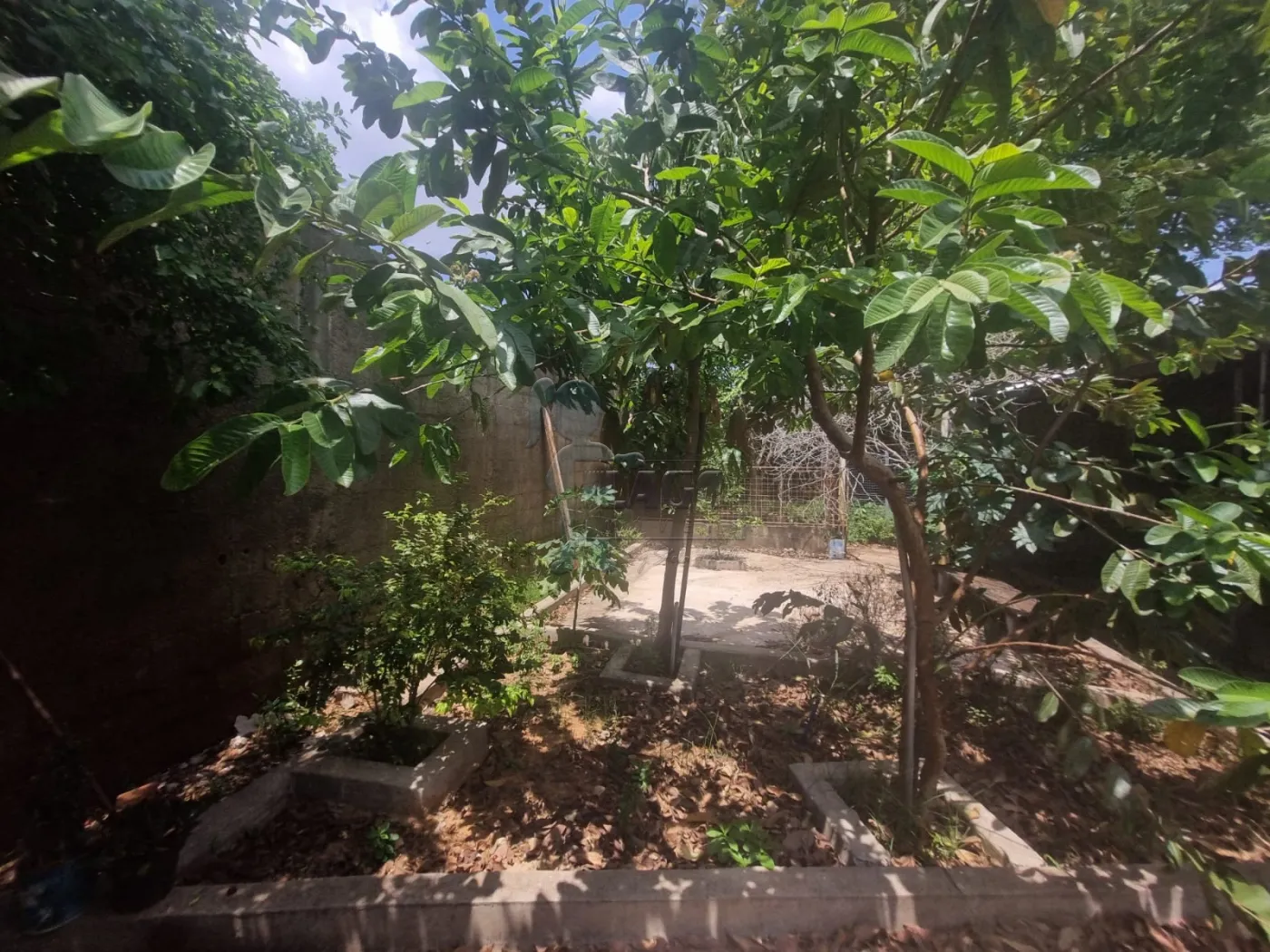 Alugar Casa / Padrão em Ribeirão Preto R$ 2.300,00 - Foto 7