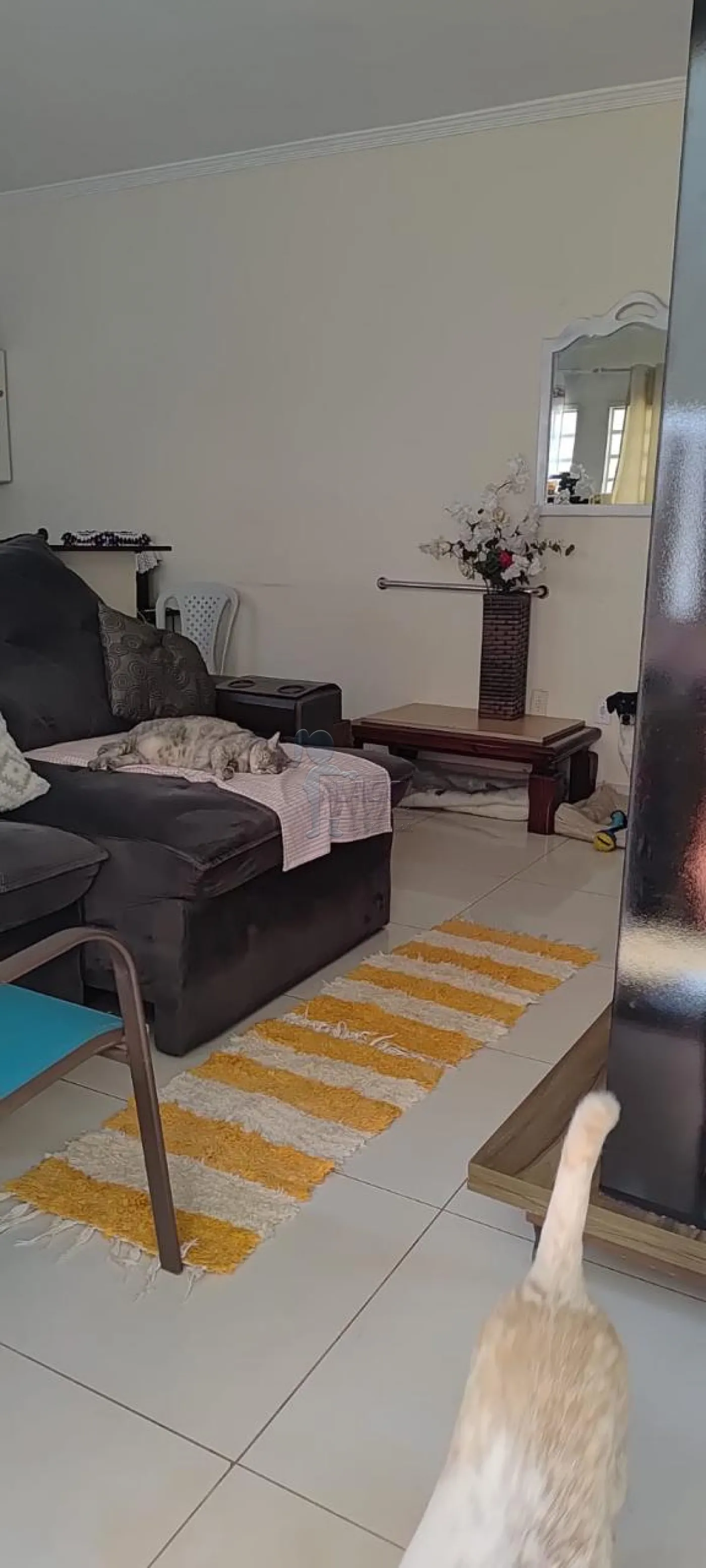 Comprar Casa / Padrão em Ribeirão Preto R$ 430.000,00 - Foto 3