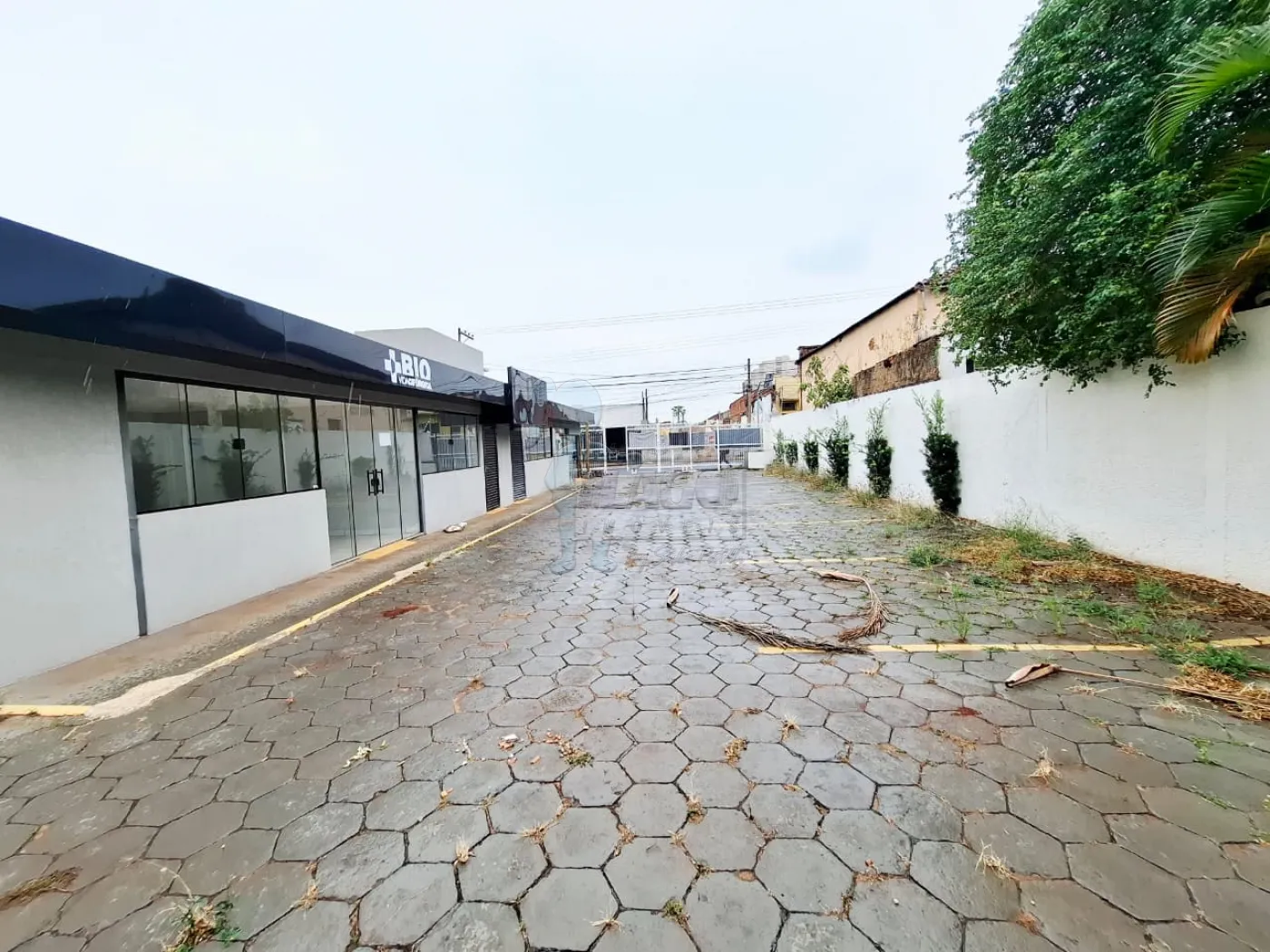 Alugar Comercial padrão / Casa comercial em Ribeirão Preto R$ 20.000,00 - Foto 30