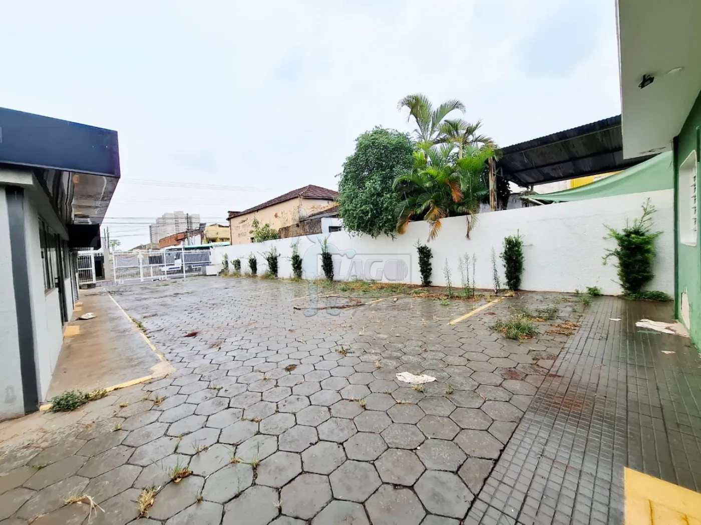 Alugar Comercial padrão / Casa comercial em Ribeirão Preto R$ 20.000,00 - Foto 31