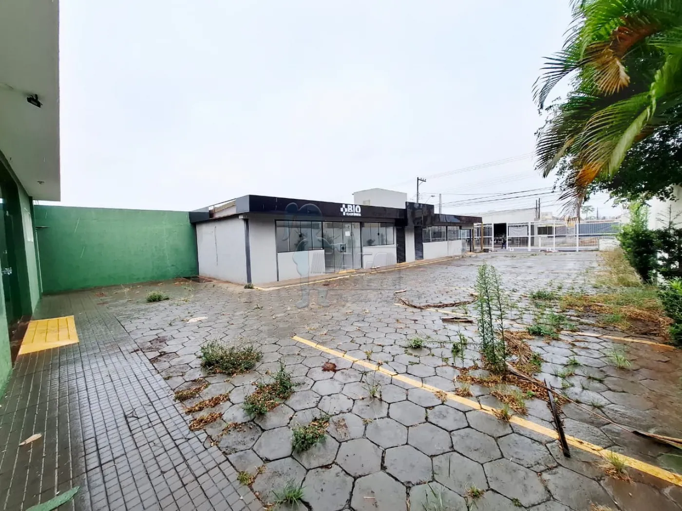 Alugar Comercial padrão / Casa comercial em Ribeirão Preto R$ 20.000,00 - Foto 32