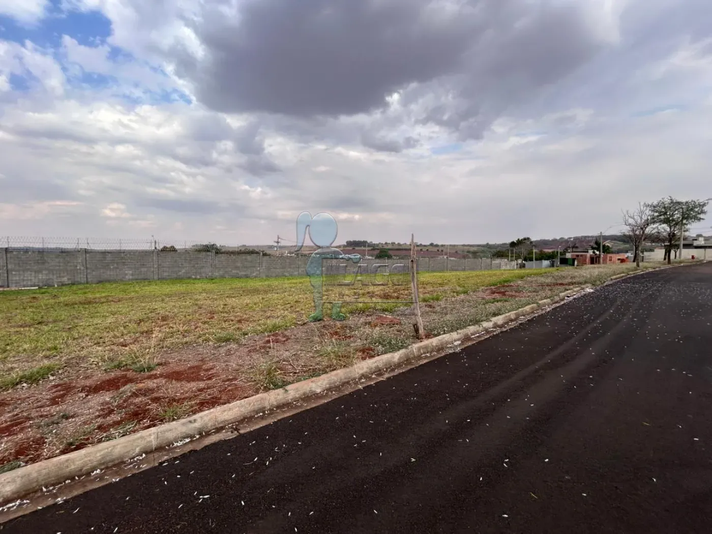 Comprar Terreno / Padrão em Ribeirão Preto R$ 150.000,00 - Foto 4