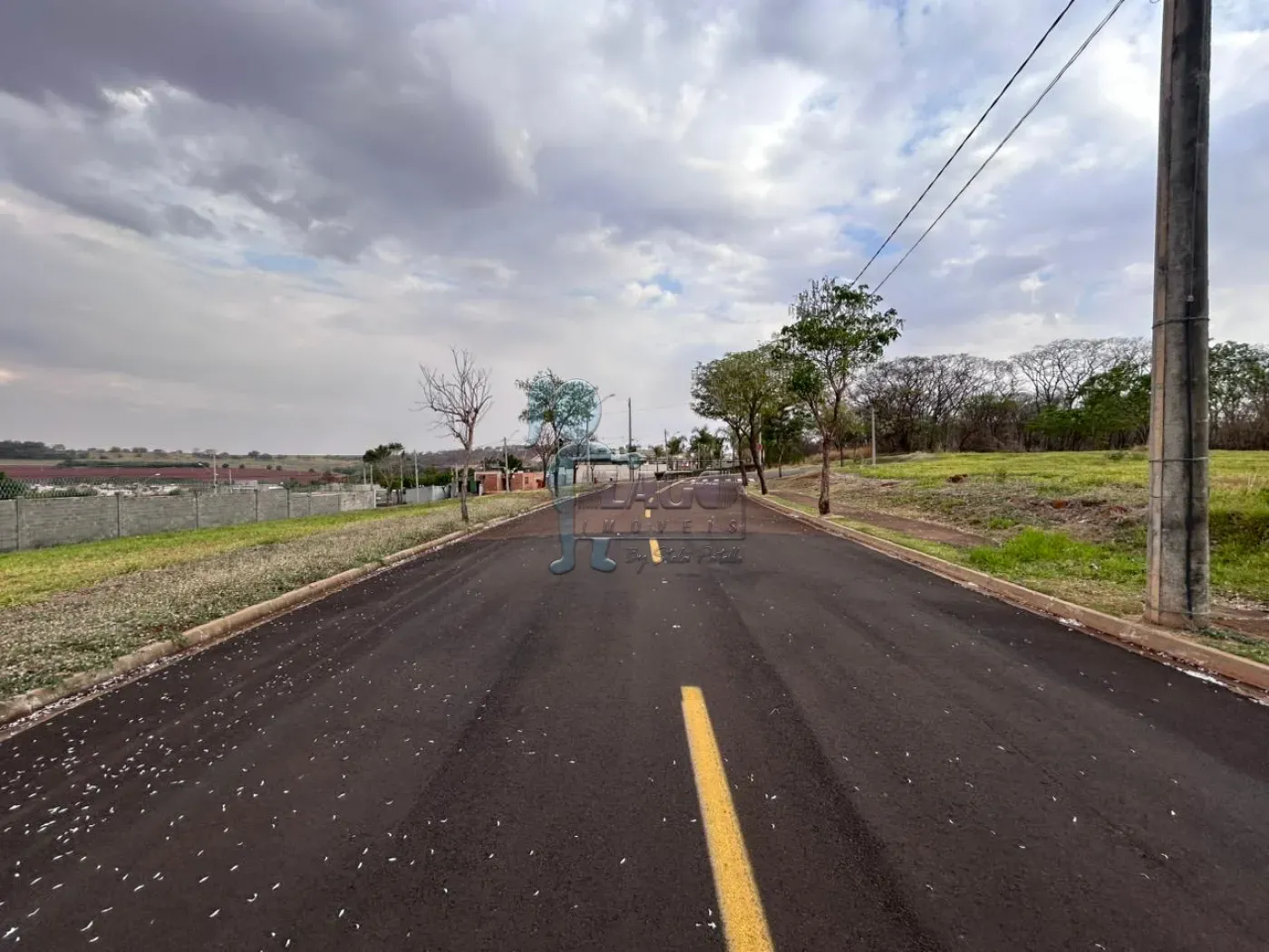 Comprar Terreno / Padrão em Ribeirão Preto R$ 150.000,00 - Foto 8