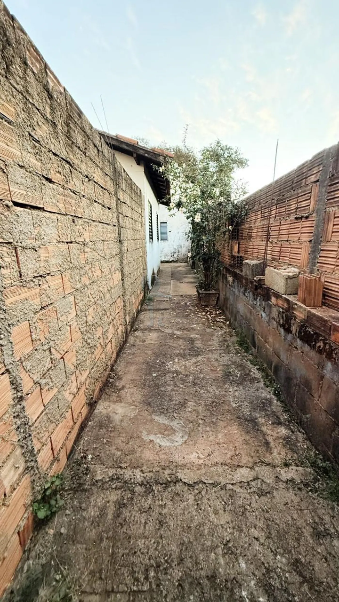 Comprar Casa / Padrão em Ribeirão Preto R$ 230.000,00 - Foto 20