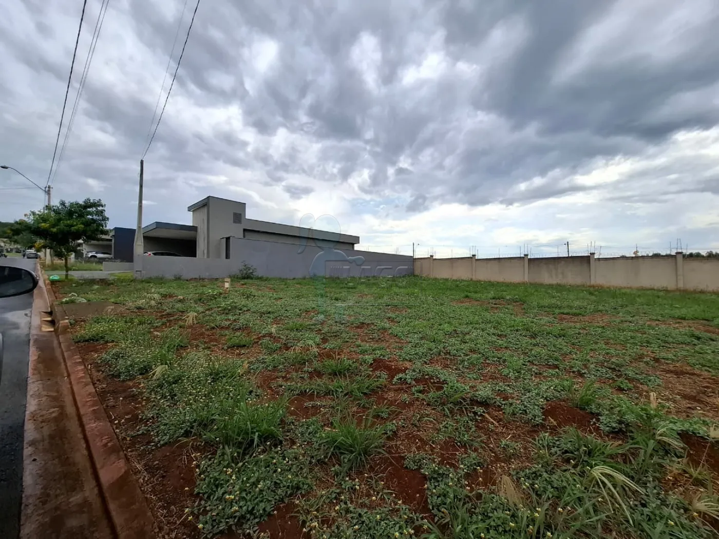 Comprar Terreno / Condomínio em Ribeirão Preto R$ 233.000,00 - Foto 2