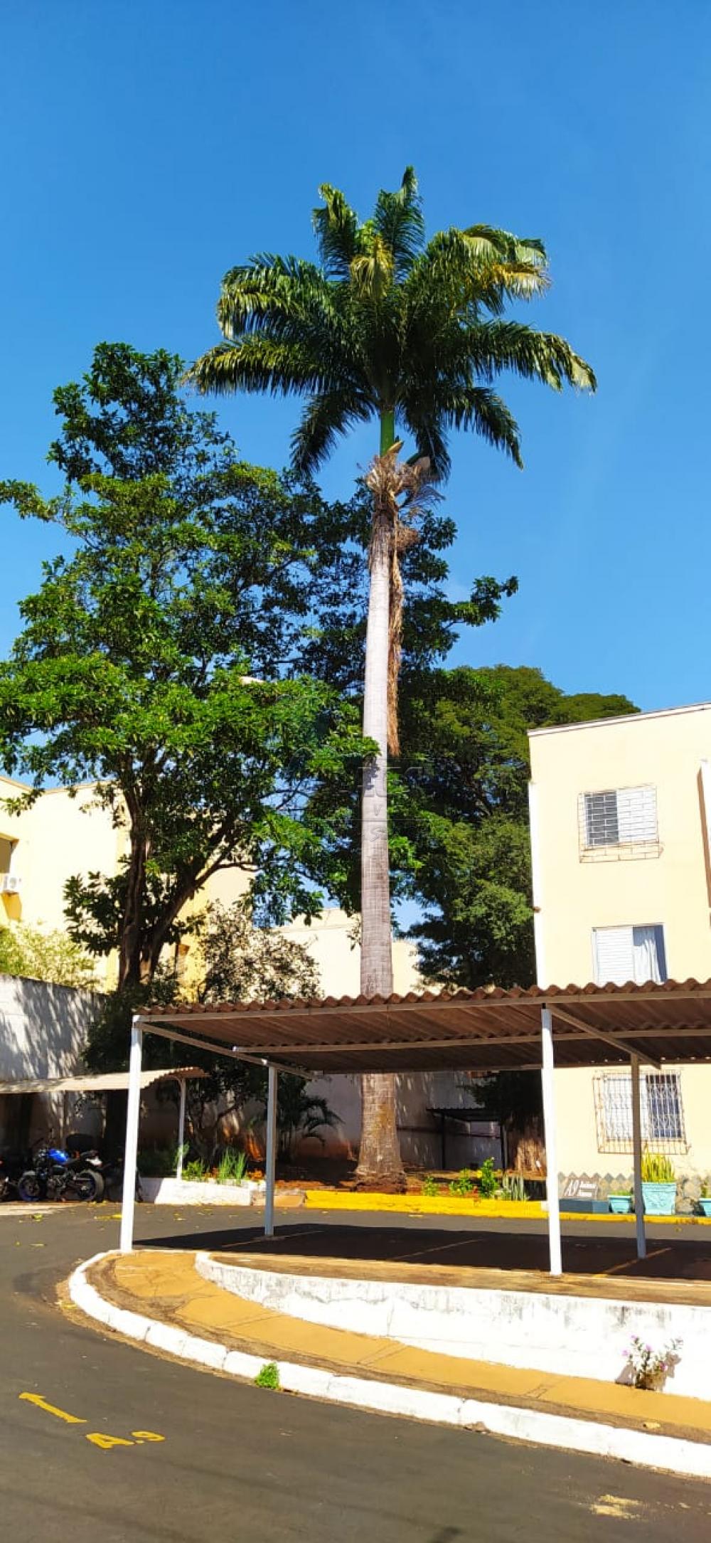 Comprar Apartamentos / Padrão em Ribeirão Preto R$ 185.000,00 - Foto 17